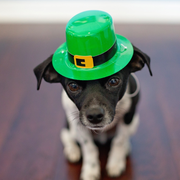 What did St. Patrick do for Ireland?