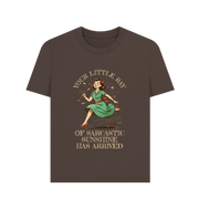 Chocolate Little Ray Women's T-shirt