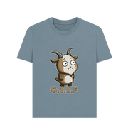 Stone Blue Printed T-shirt