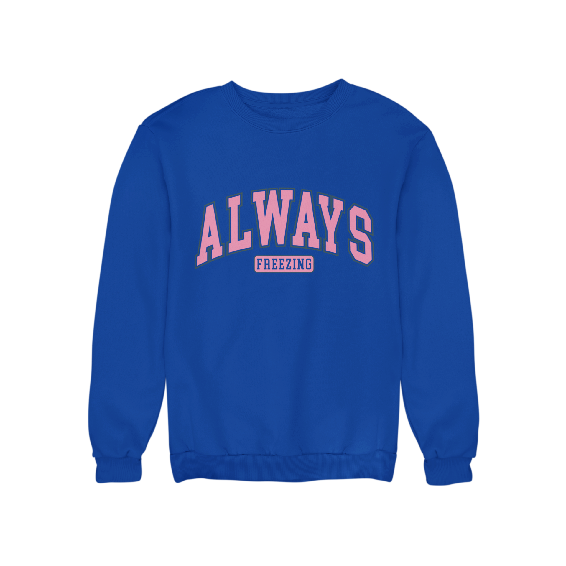 The Always Freezing 2 Jumper features a slogan sweatshirt, with a trendy and eye-catching pink print. This quality and stylish jumper is sure to keep you warm and looking sharp.