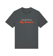 Gray offensive slogan t-shirt with 'Small Penis Big Dreams' text 