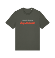 khaki offensive slogan t-shirt with 'Small Penis Big Dreams' text 