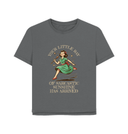 Slate Grey Little Ray Women's Relaxed Fit T-shirt