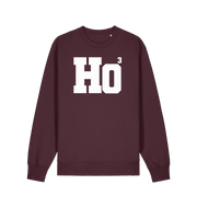 red brown xmas sweater with the slogan 'ho3'