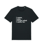 black sarcastic t-shirt with the slogan 'i came i saw i forgot what i came for'