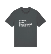 grey sarcastic t-shirt with the slogan 'i came i saw i forgot what i came for'