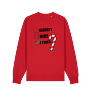 red christmas sweater with the slogan 'naughty nice i tried'