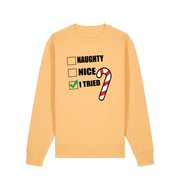 yellow christmas sweater with the slogan 'naughty nice i tried'