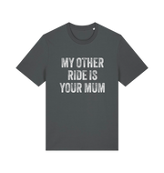 grey offensive t-shirt with the slogan 'my other ride is your mum'
