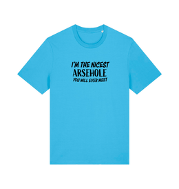 blue rude t-shirt with the slogan 'i'm the nicest arsehole you will ever meet'